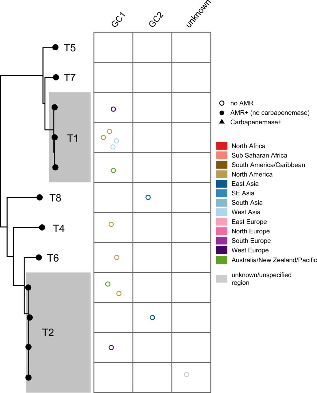 Phylogenetic relationship and distribution of antimicrobial resistance determinants in R1-type plasmids across major globally distributed sequence types and global clones. Plots show the plasmids linked with a particular plasmid type, with each data point corresponding to a unique plasmid, grouped by chromosomal sequence type/clone, and coloured by geographical region as shown in the Figure key. Empty circles (marked no AMR) indicate the absence of antimicrobial resistance gene.