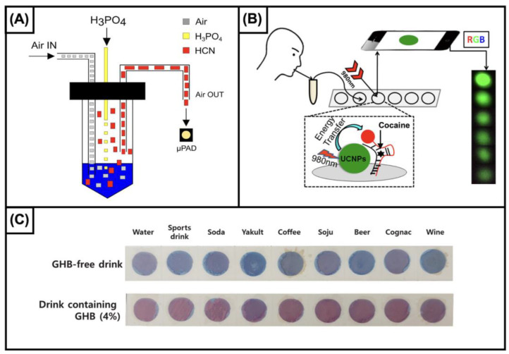 (A) Schematic representation of cyanide determination. A homemade device has been designed to detect HCN at the gas phase. The liquid sample is gently insuffled with air, and added with phosphoric acid (30%). The detection was carried out using palladium-dimethylglioximate. “Reprinted from Sensors and Actuators B: Chemical, 268, da Silveira Petruci, J.F. et al., Colorimetric paper-based device for gaseous hydrogen cyanide quantification based on absorbance measurements, 392-7, Copyright (2023), with permission from Elsevier”. (B) Graphical illustration of the procedure for detecting cocaine in saliva samples. The device uses up-conversion nanoparticles (UCNPs) functionalized with anticocaine aptamers. In the presence of cocaine, the UCNPs luminescence is quenched. The luminescence change can be observed by naked eye for qualification or recorded by a smartphone camera. “Reprinted (adapted) with permission from Analytical Chemistry, 88, He, M. et al., Portable Up conversion Nanoparticles-Based Paper Device for Field Testing of Drug Abuse, 1530-4, Copyright (2023), American Chemical Society”. (C) Image of the interaction between the colorimetric reagent developed for detecting GHB with common drinks, and with the same drinks spiked with the analyte. The proposed device is based on the interaction between GHB and pentacosadiynoic acid-gabazine reagent which turns from blue to red. “Reprinted from Sensors and Actuators B: Chemical, 347, Son, S.U. et al., Colorimetric paper sensor for visual detection of date-rape drug γ-hydroxybutyric acid (GHB), 130598, Copyright (2023), with permission from Elsevier”.