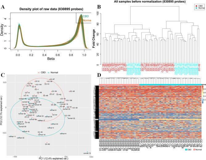 Density plot and principal component analysis (PCA) plot. A Density plot. This plot illustrates the distribution of β values representing methylation levels for the 37 CBD patients (depicted in green) and the 27 healthy controls (depicted in orange. B Raw Sample Cluster plot before normalization (830,895 probes). C PCA plot based on all CpG sites. No discernable separation is observed between the CBD patients (red dots) and the healthy controls (blue dots). PC1 explains 12.4% variance, and PC2 explains 12.1% variance. D Heatmap displaying methylation differences across 24,230 DMPs. Each row represents a DMP, and each column represents a subject. Red indicates hypermethylation in CBD patients compared to controls, while blue indicates hypomethylation