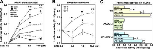 Endocannabinoids induce PPARδ-dependent transcription in HUVECs. (A) HUVECs were transiently transfected with PPRE-luciferase reporter plasmid pACO-gLuc, and after 24 h cells were incubated with vehicle (DMSO), fatty acids (AA, DHA, and OA), or endocannabinoids (2G, AEA, and NE). Subsequently, luciferase activity was measured as described in Materials and methods. (*, P < 0.05; **, P < 0.01 compared with AA). Structures of the endocannabinoids are shown in Fig. S4. (B) Endocannabinoid activation of endogenous PPARδ-dependent transcription. A chimeric receptor containing the ligand-binding domain of PPARα,γ,δ fused with the DNA-binding domain of yeast Gal4 transcription factor was used. Transactivation was detected by cotransfection with reporter gene (Gal4 response element [UAS-tk-luc]) in the presence of 2-AG (*, P < 0.05; **, P < 0.01, compared with vehicle). (C) Mouse lung ECs were isolated from wild-type (yellow), PPARδ−/− (green), or CB1−/−/CB2−/− (blue) mice, and the Gal4-UAS system of transcriptional activation was assayed in the presence of vehicle (DMSO), 1 or 10 μM 2-AG, or 10 μM PPARδ agonist cPGI as control (*, P < 0.05; **, P < 0.01 compared with vehicle). Fig. S4 is available at http://www.jem.org/cgi/content/full/jem.20070828/DC1.