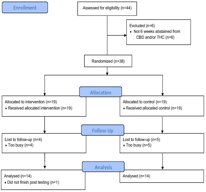 Consort Flow Diagram. CBD cannabidiol, THC tetrahydrocannabinol.