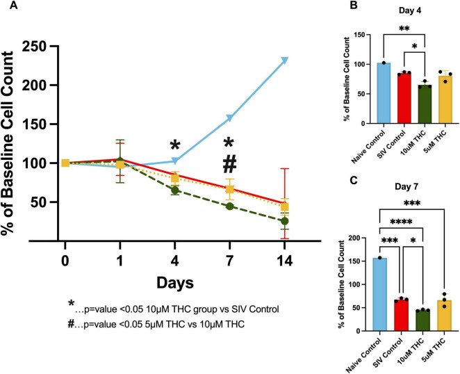 “Line and bar graphs compare baseline cell count percentages over time and between treatment groups. (A) A line graph shows cell counts across days 0, 1, 4, 7, and 14. Different treatments result in varying trends: one increases, others decrease. Notable changes at days 4, 7, and 14 are marked by symbols indicating significant differences. (B) A bar graph for day 4 shows cell counts for Naïve Control, SIV Control, 10 µM THC, and 5 µM THC. Significant differences are indicated. (C) A bar graph for day 7 shows similar group comparisons with notable significance marked above the bars.”