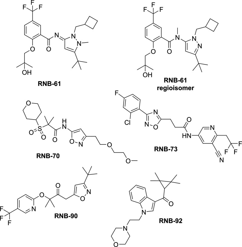 Chemical structures of RNB compounds.