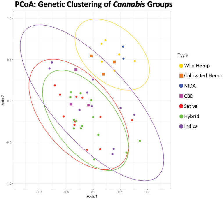 Principal Coordinates Analysis of genetic distance among samples. Samples clustering together are more closely related. The ellipses represent 95% confidence intervals for each group (Cultivated hemp = orange, Wild hemp = yellow, NIDA = blue, High CBD = pink, Sativa = red, Hybrid = green, Indica = purple). Approximately 24% of the genetic variation in these groups is shown (coordinate 1= 13.02% and coordinate 2 = 11.17%). No confidence intervals were drawn for NIDA, High CBD, or Cultivated Hemp samples due to the small sample size (n = 2, n = 3, and n = 3, respectively).