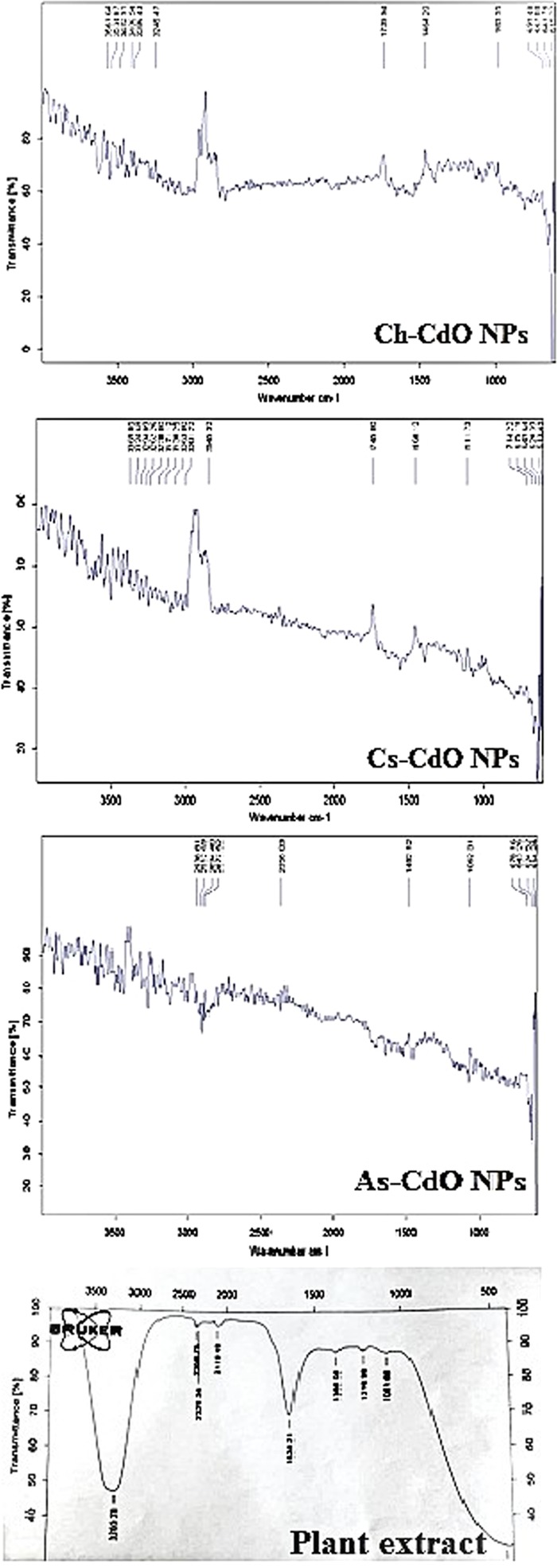 FTIR spectra of CdO nanoparticles synthesized through green chemistry and co-precipitation method: Ch-CdO NPs (nanoparticles synthesized by chemical method), Cs-CdO NPs (nanoparticles synthesized by C. sativa), and As-CdO NPs (nanoparticles synthesized by A. scoparia).