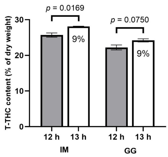 Total equivalent THC (T-THC) concentrations (% of dry weight) in the apical inflorescence responses to 12 h (filled bars) and 13 h (empty bars) photoperiod treatments of C. sativa cultivars, ‘Incredible Milk’ (IM) and ‘Gorilla Glue’ (GG). Data are based on the loss-on-drying determinations of the water content of the sampled tissues. Data are means ± SE, n = 3. Error bars are presented for all data but may be obscured for small SE values. Percentage values marked in the 13 h bars signify the increase in T-THC relative to the 12 h treatment, and the p-values above each cultivar represent the significance level of the comparison of means according to Student’s t-test.
