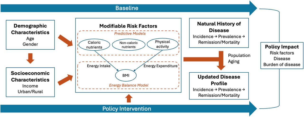 Health-GPS model diagramNotes: Disease is modelled through three types of events: onset, remission, and fatality, with data on prevalence, incidence, remission, and mortality rates for non-cancerous diseases collected from the IHME Global Burden of Disease. Cancers are modelled using data from the International Agency for Research on Cancer (IARC) on prevalence at 1, 3, and 5 years after diagnosis, incidence, and mortality rates. Cancer survivors beyond five years post-diagnosis are assumed to be in remission.