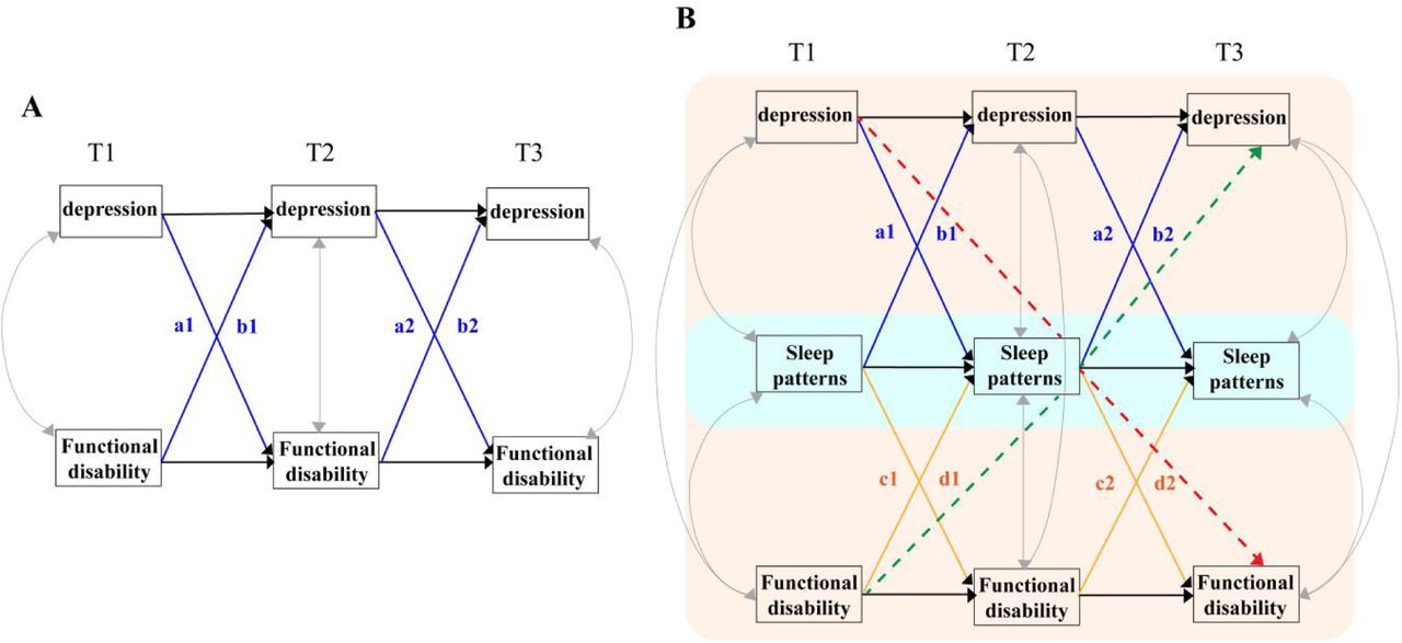 The dynamic relationships between depression, sleep patterns, and functional disability. In Figure A, the black lines represent the autoregressive effects of depression and functional disability; the grey lines indicate the residual correlation between depression and functional disability; a1, a2, b1, b2 denote the cross-lagged effects of depression and functional disability. In Figure B, the black lines represent the autoregressive effects of depression, sleep patterns, and functional disability; the grey lines indicate the residual correlations between depression, sleep patterns, and functional disability; a1, a2, b1, b2 denote the cross-lagged effects of depression and functional disability; c1, c2, d1, d2 represent the cross-lagged effects of sleep patterns and functional disability; the red dashed line indicates the effect of depression on functional disability mediated through sleep patterns; and the green dashed line represents the effect of functional disability on depression mediated through sleep patterns.