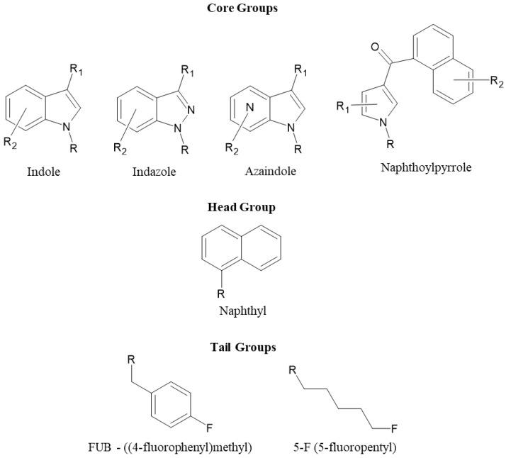 Functional groups of primary interest in the current study.