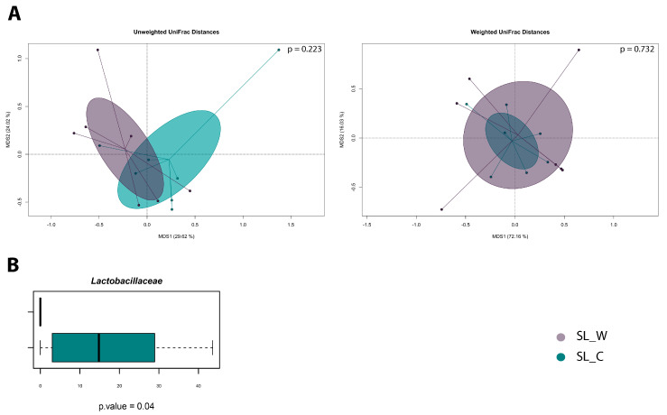 (A) PCoA plots based on unweighted and weighted UniFrac distances. (B) Boxplots representing the variation in relative abundance between the SL_C and SL_W formulations. Kruskal–Wallis test results with a p-value lower than 0.05 were highlighted under the boxplot. The color legend is represented in the bottom-right corner of the figure.