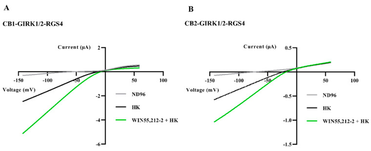 Activation of inward rectification of GIRK1/2 in the CB-GIRK1/2-RGS4 coupling in Xenopus oocytes. (A) Oocytes co-injected with CB1, GIRK1/2, and RGS4 cRNAs, and (B) oocytes co-injected with CB2, GIRK1/2, and RGS4 cRNAs were subjected to a 1-s voltage ramp protocol from −150 to +60 mV from a holding potential of −20 mV. Inward IK,basal was enhanced by exchanging HK to HK plus 1 μM WIN55,212-2. Typical IK,basal and IK,WIN were recorded from three to six different oocytes.