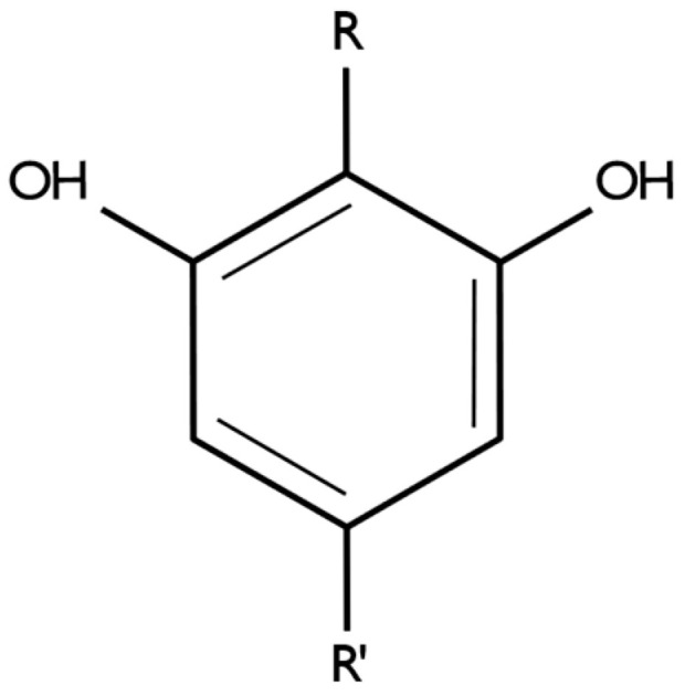 Illustration of the resorcinol core decorated with para-positioned groups. Image created using Inkscape. R—alkyl, aralkyl, or isoprenyl. R’—propyl or pentyl.