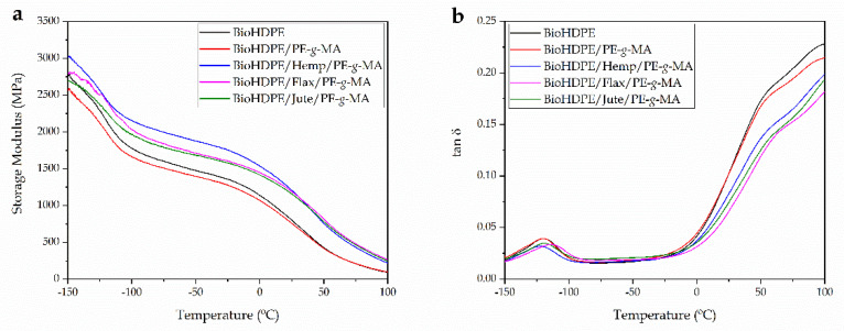 Dynamic mechanical thermal behavior (DMTA) of Bio-HDPE with different natural fibers as a function of temperature, (a) storage modulus (E’) and (b) dynamic damping factor (tan δ).