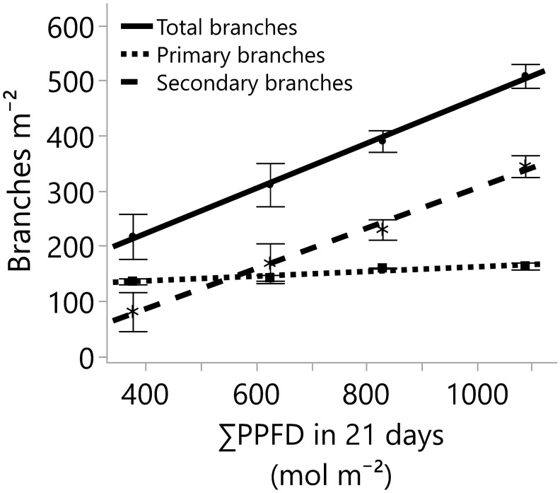The number of branches developed on the main stem (primary branches) and on the primary branches (secondary branches), and the total number of branches (primary and secondary branches) for four greenhouse cumulative light levels (sunlight plus supplemental LED lighting). PPFD represents photosynthetic photon flux density, and the lines represent the regression equations for the primary (Y=119.7 + 0.04235*X; R2 0.67), secondary (Y=-59.94 + 0.3647*X; R2 0.84), and total branches per square meter (Y=59.72 + 0.407*X; R2 0.85). In all cases, the p-values of the linear regression slopes were statistically significant (≤0.001). Dots, stars, and squares represent the means, and error bars represent standard errors for each light treatment group. In all cases, N=12, n=3, and OU=3 plants per plot.
