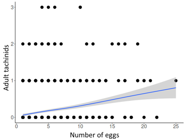 The relationship between the numbers of tachinid eggs and tachinid adults emerged per host Helicoverpa zea larva.
