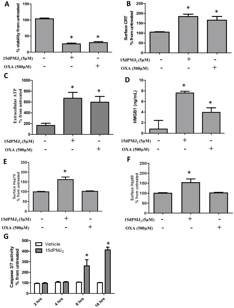 15dPMJ2 increases DAMP expression and cell death in B16F10 melanoma cells.(A–F) B16F10 cells were treated with vehicle (0.1% DMSO), 5 μM 15dPMJ2, 500 μM oxaliplatin, or the cells were left untreated. (A) Cell viability was evaluated by performing MTS assays after 24 hours of treatment. (B) The cell surface expression of calreticulin (CRT) was measured by conducting flow cytometric analysis after treating the cells for 2 hours with the indicated agents. (C) Extracellular ATP levels were measured using the CellTiter-Glo 2.0 assay kit after treating the cells for 4 hours. (D) Extracellular HMGB1 was measured by using the HMGB1 ELISA kit after cell treatment for 24 hours. (E and F) The cell surface expression of Hsp70 (E) and Hsp90 (F) was measured by conducting flow cytometric analysis after treating the cells for 4 hours. (G) B16F10 cells were treated with 5 μM 15dPMJ2 or vehicle for 2, 4, 8, or 16 hours. Caspase-3/7 activity was measured by using Caspase-Glo 3/7 reagent as directed in the manufacturer’s instructions. Sample values in B, C, E and F are displayed as the percentage from untreated cells (% from untreated). The data were analyzed using one-way ANOVA followed by Tukey’s multiple comparison test and are represented as the mean ± SEM of three independent experiments. * p < 0.05, sample compared to vehicle-treated cells.