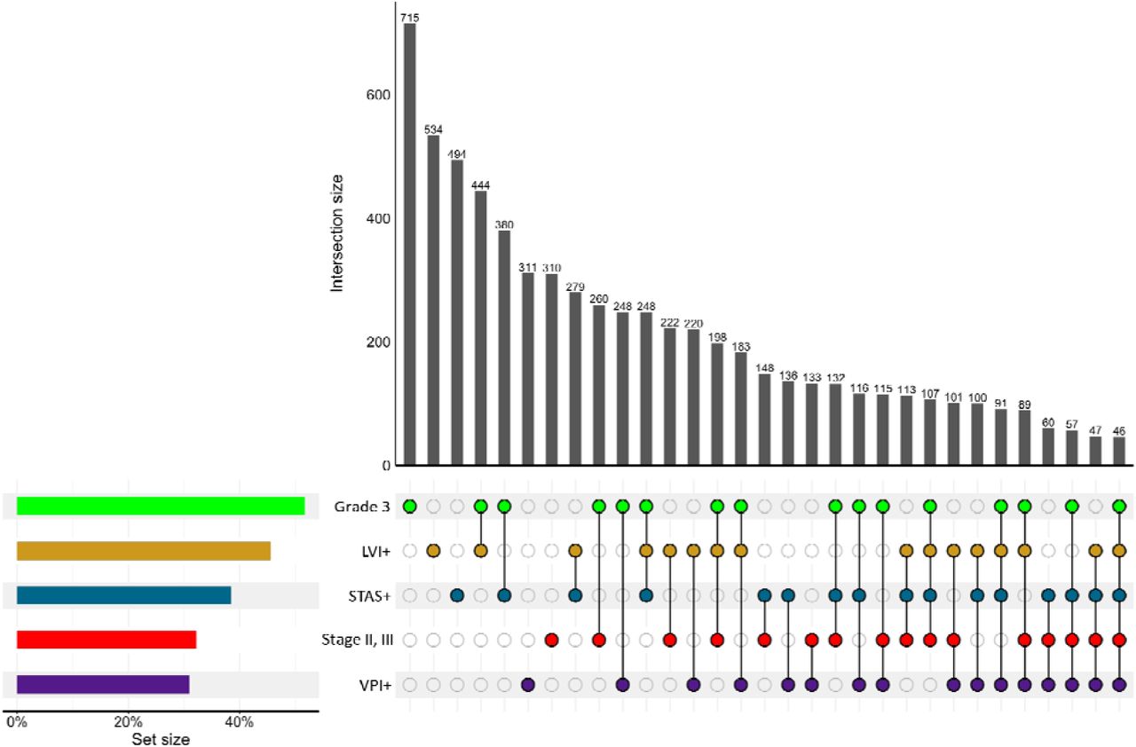 UpSet Plot of Overlapping Histopathological Features in LUAD (LORD cohort, N=1139).The UpSet plot illustrates the intersection of key histopathological features in LUAD patients, including Grade 3 tumors, LVI, STAS, VPI, and tumor stage (II-III). The bar chart at the top represents the intersection size, showing the number of patients exhibiting specific combinations of these features. The connected dots in the lower matrix indicate which features are present in each intersection group. The left-side bar plots display the overall frequency of each individual feature in the dataset. This visualization highlights the co-occurrence of aggressive tumor characteristics and provides insights into their distribution within the patient population. STAS: spread through air spaces, LVI: lymphovascular invasion, VPI: visceral pleural invasion.