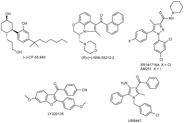Chemical structures of neuroprotective CB ligands.