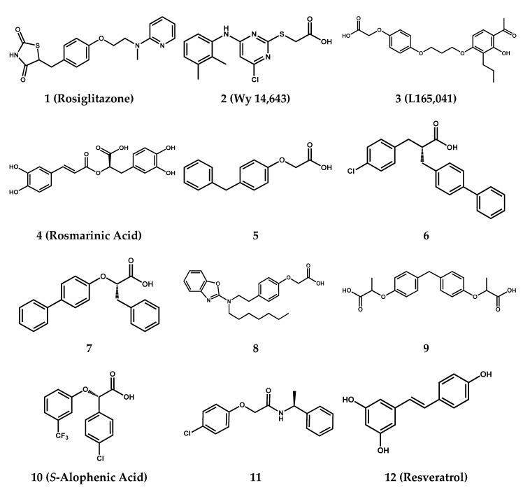 Molecular structures of the first 12 compounds involved in the screening.