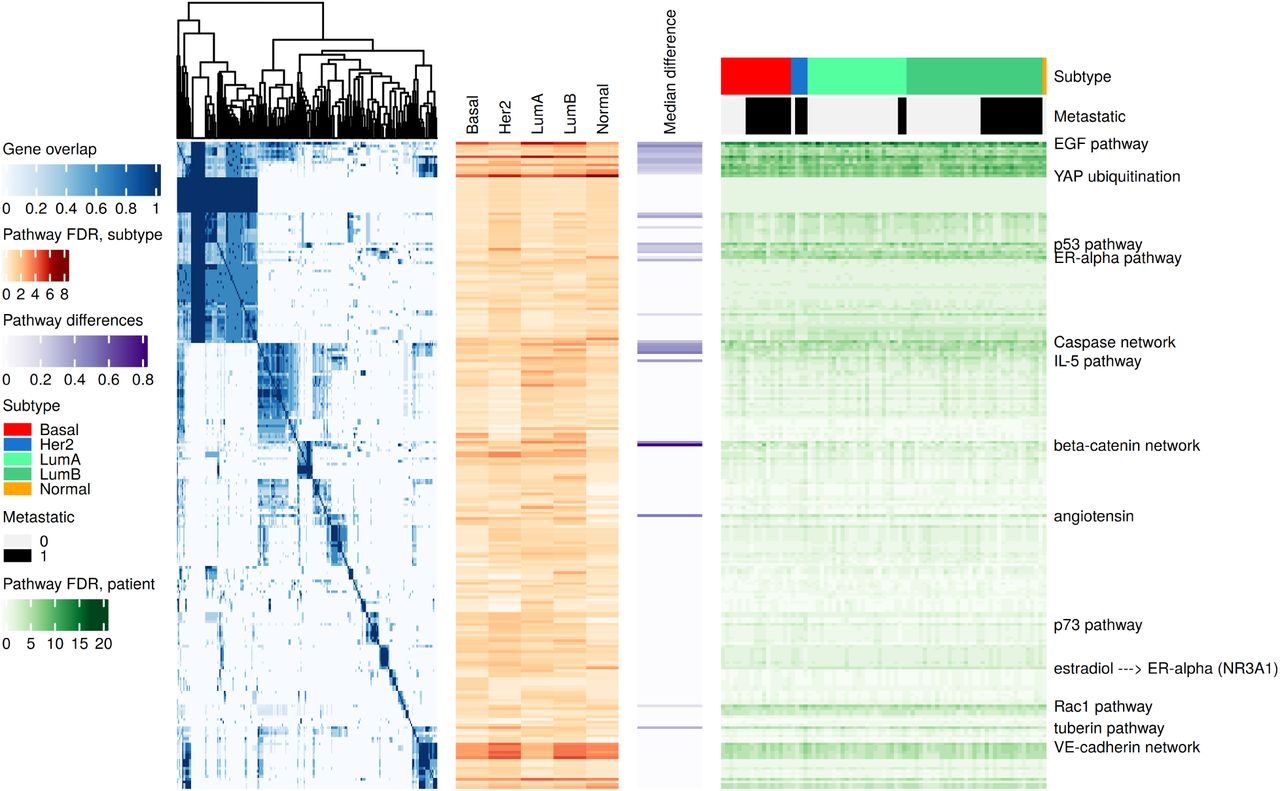 Signal transduction pathway analysis of subnetwork genes reported for 79 patients in 5 subtypes. (From left to right) Blue heatmap: 238 signaling pathways clustered according to proportion of shared subnetwork genes; Orange heatmap: Enrichment significance of pathways in subnetwork genes combined from patients of given subtype. Darker orange indicates higher significance; Purple heatmap: Median difference in matched pathway genes observed in pairwise comparisons of subnetwork gene sets from patients mapped to 33 pathways. Darker purple indicates higher tendency of pairs of subnetwork gene sets to coincide with different pathway genes; Green heatmap: Enrichment significance of pathways in subnetwork genes of 79 patients. Darker green indicates higher significance. Corresponding subtypes and metastatic status are shown by the annotation above the heatmap. A detailed version of this figure capturing pathway and sample names is provided in Supplementary Figure S2.