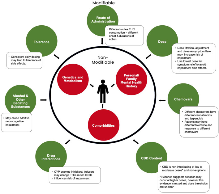 Modifiable and non-modifiable factors influencing cannabis-related neurocognitive impairment. Adapted from Eadie et al. (12)2.