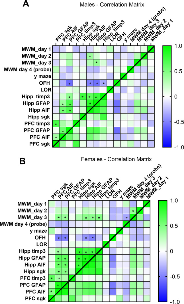 Correlation matrices for males (A) and females (B) showing Pearson correlations between behavioral measures and molecular markers in the hippocampus (Hipp) and prefrontal cortex (PFC). Correlation coefficients (r) range from –1 to +1 and are visualized using a color scale (green = positive correlation, blue = negative correlation). Significant correlations are indicated by an asterisk (*p < 0.05, two-tailed). Sample sizes ranged from 30–40 animals per sex, with variation due to missing values