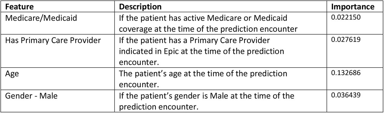 Model features, description, and feature importance.