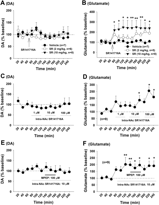 Effects of the CB1 receptor antagonist SR141716A on basal extracellular DA and glutamate in the NAc. (A,B) Systemic administration of SR141716A did not alter basal extracellular DA, but significantly elevated extracellular glutamate. (C,D) Intra-NAc local perfusion of the selective CB1 antagonist SR141716A also failed to alter extracellular DA, but significantly elevated extracellular glutamate. (E,F) Intra-NAc local perfusion of SR141716A prior to MPEP failed to alter NAc DA (E), but blocked MPEP-enhanced extracellular glutamate (F). *p < 0.05, **p < 0.01, compared to pre-SR141716A baseline.