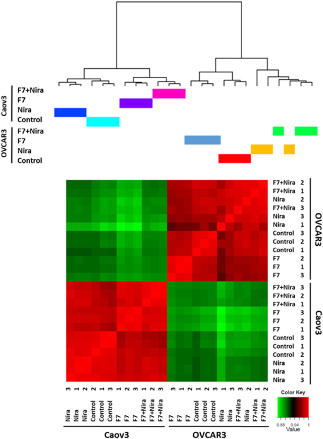 Hierarchical clustering of all samples based on the identified genes in Caov3 and OVCAR3 cells treated with niraparib (Nira), F7 or the F7+niraparib combination. Vehicle control is “control.” The last digit indicates the replicate number (1-3). Hierarchical clustering was calculated using Pearson correlations out of dissimilarity tables, among the four conditions based on genes expression [counts per million (CPM)] followed by a log2 transform. Colors indicate the correlation values calculated by Pearson correlations with R software. Correlation ranges from −1 to 1, where −1 indicates anti-correlation (or negative correlation), 0 no correlation and 1 correlation (or positive correlation).