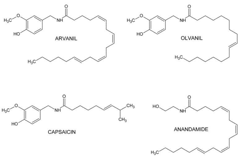 Chemical structure of arvanil and olvanil.
