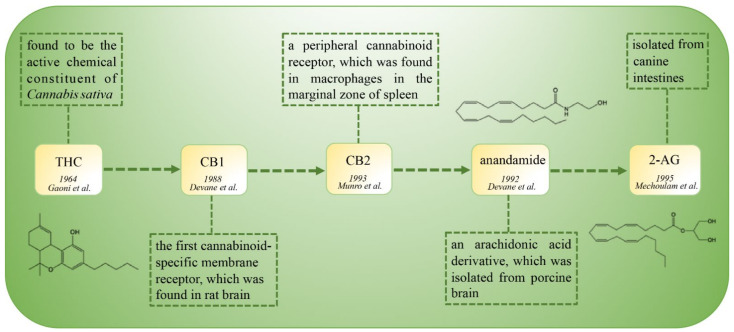 The timeline of the discovery of the cannabinoid family.