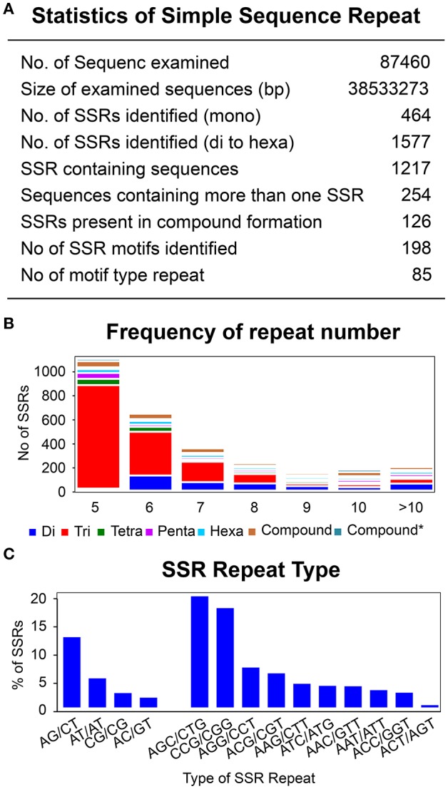 Identification of simple sequence repeats. (A) Statistic of simple sequence repeats. (B) Frequency of repeat number from 5 to 86 for di-, tri-, tetra-, Penta-, and hexa- type of SSR repeats. Y-axis represents the number of genes for each category of repeats type according to the repeat number on X-axis. (C) Most abundant di- and tri- repeats type distribution.