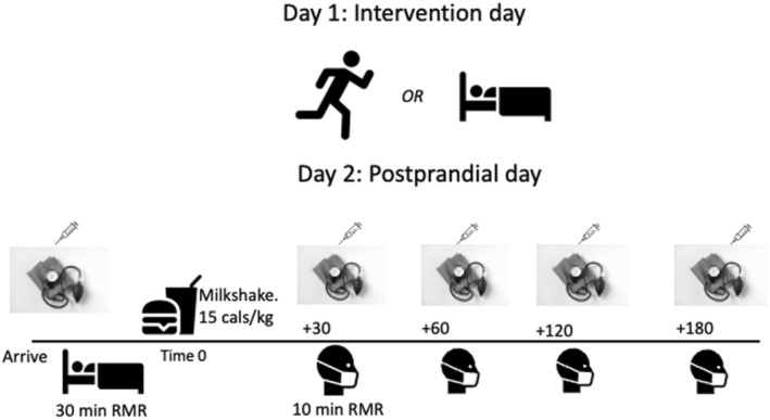Schematic overview of study. Needles represent capillary blood samples; blood pressure cuff represents mean arterial pressure; and head with mask represents indirect calorimetry.