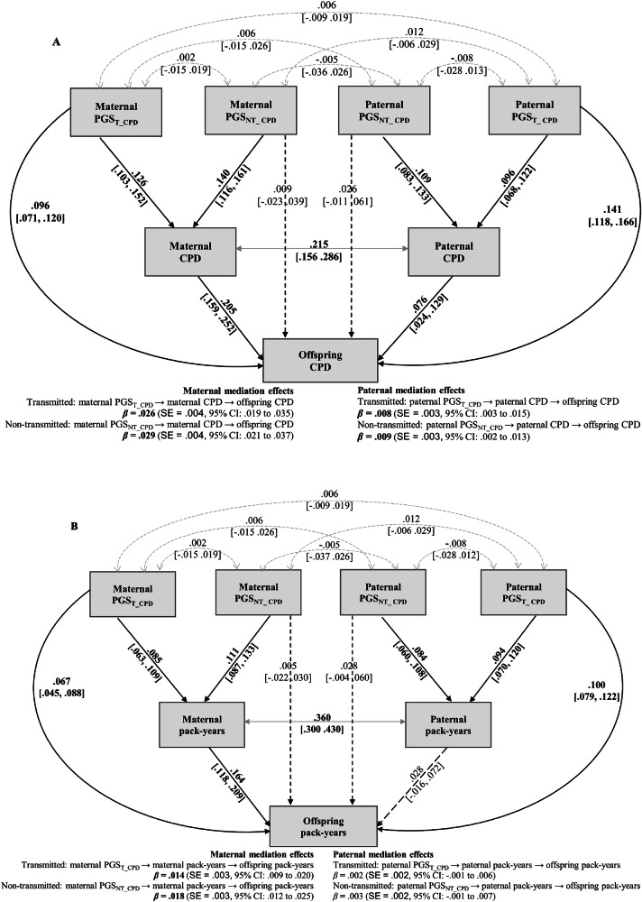 Mediation analysis using structural equation modeling: maternal and paternal smoking quantity as mediators of the associations between transmitted (PGST) and non-transmitted (PGSNT) polygenic scores and offspring smoking outcomes. All models adjust for offspring sex and age.Solid lines indicate significant pathways, and dashed lines represent non-significant pathways. Double-headed gray arrows indicate covariances between parental polygenic scores and phenotypes, reflecting assortative mating. Reported effects are standardized estimates with bootstrapped 95% CI. Bold indicates a significant mediation effect. A Cigarettes per day. Total effect of maternal transmitted: βtotal = 0.122, SE = 0.012, 95% CI [0.098, 0.145] and non-transmitted: βtotal = 0.038, SE = 0.015, 95% CI [0.008, 0.067]. Total effect of paternal transmitted: βtotal = 0.150, SE = 0.012, 95% CI [0.127, 0.172] and non-transmitted: βtotal = 0.033, SE = 0.018, 95% CI [−0.003, 0.068]. B Pack-years. Total effect of maternal transmitted: βtotal = 0.081, SE = 0.011, 95% CI [0.060, 0.102] and non-transmitted: βtotal = 0.023, SE = 0.013, 95% CI [−0.003, 0.048]; Total effect of paternal transmitted: βtotal = 0.102, SE = 0.011, 95% CI [0.082, 0.124] and non-transmitted: βtotal = 0.031, SE = 0.017, 95% CI [−0.002, 0.063]. No adjustments were made for multiple comparisons, as all mediation parameters were estimated with bootstrapping.