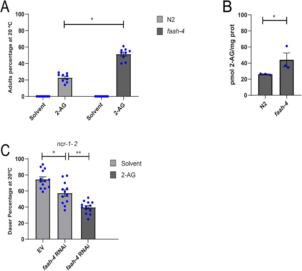 FAAH-4 is involved in cholesterol mobilization by 2-AG.(A) Wild type and faah-4 animals grown for two generations in the absence of cholesterol at 20 ºC arrest as L2-like larvae. Feeding with 2-AG (50 μg/ml) increases the formation of adults in faah-4 animals compared with N2 animals. All Pairwise Multiple Comparison Procedures (Dunn’s Method), *p < 0.05. All values from n = 3 independent experiments are shown as Mean ± SEM. (B) Intracellular levels of 2-AG are elevated in faah-4 animals. T-test, *p < 0.005. All values from n = 3 independent experiments show as Mean ± SEM. (C) faah-4 RNAi reduces the dauer formation of strain ncr-1-2 and enhances the ability of low concentrations of 2-AG (10 μM) to suppress the daf-c phenotype of these animals. All Pairwise Multiple Comparison Procedures (Holm-Sidak method), *p < 0.002, **p < 0.001. All values from n ≥ 3 independent experiments are shown as Mean ± SEM. N2 is the C. elegans wild-type strain.