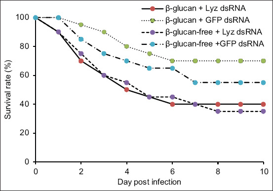 Cox Proportional Hazards and Kaplan–Meier survival analysis of Penaeus vannamei fed diets with or without β-glucan supplementation and treated with lysozyme dsRNA or GFP dsRNA following Vibrio parahaemolyticus infection. Differences in survival rates among groups were analyzed using Kaplan–Meier log-rank χ2 tests (*p < 0.05). dsRNA=double-stranded RNA, GFP=Green fluorescent protein.β-glucan + Lyz dsRNA/β-glucan + GFP ds RNA (HR = 2.655 (1.004–6.752), p = 0.034).β-glucan + Lyz dsRNA/β-glucan-free + Lyz ds RNA (HR = 0.951 (0.434–2.083), p = 0.894).β-glucan + Lyz dsRNA/β-glucan-free + GFP ds RNA (HR = 1.627 (0.688–3.842), p = 0.240).β-glucan + GFP dsRNA/β-glucan-free + Lyz ds RNA (HR = 0.350 (0.141–0.867), p = 0.021).β-glucan + GFP dsRNA/β-glucan-free + GFP ds RNA (HR = 0.600 (0.218–1.654), p = 0.311).