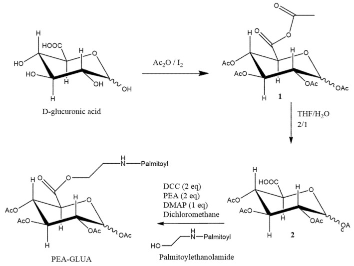 Chemical synthesis of the drug-carrier conjugate GLUPEA.