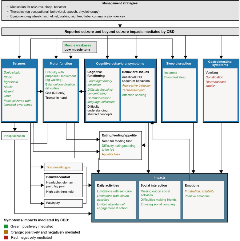 Conceptual model illustrating the relationships between symptoms and impacts of DS and LGS, and those mediated by CBD. aSymptom/impact not caused by DS or LGS. Symptoms/impacts that are italicized represent mediated changes that were mentioned by ≥5 caregivers. The symptoms/impacts that were positively mediated by CBD are shown in green, those that were negatively mediated are shown in red, and those that were both positively and negatively mediated are shown in orange. Abbreviations: ADHD, attention-deficit hyperactivity disorder; DS, Dravet syndrome; LGS, Lennox-Gastaut syndrome.