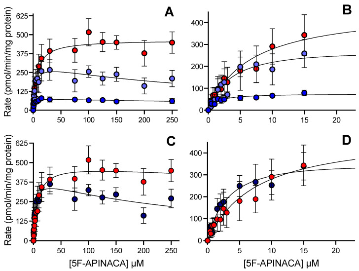 Steady-state metabolism 5F-APINACA by human liver microsomes fit to traditional kinetic models. (A) Kinetic plot for primary metabolites, i.e., 5OH-APINACA from oxidative defluorination of the pentyl group (red), and 5F-APINACA-OH from monohydroxylation of the adamantyl group (light blue), as well as the secondary metabolite, 5F-APINACA-(OH)2 from another hydroxylation of the adamantyl group (blue). (B) Same data and model fits from (A) highlighting kinetics at lower 5F-APINACA concentrations. (C) Kinetic data from common adamantyl hydroxylation pathway were combined and replotted (dark blue) for comparison to 5OH-APINACA kinetics. (D) Same data and model fits from (C) highlighting kinetics at lower 5F-APINACA concentrations. Steady-state reaction conditions and data analyses were carried out as described in the Materials and Methods. Each data point is an average of 12 replicates, and the displayed curve reflects the best-fit model for the data. The corresponding mechanisms and constants are reported in Table 1.
