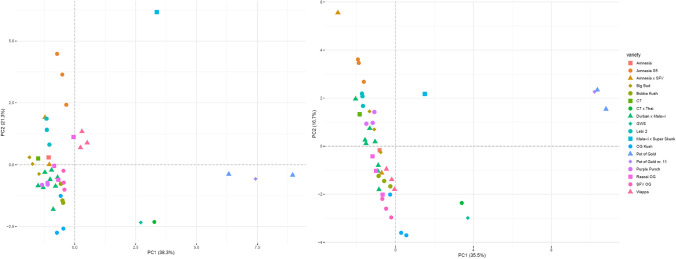 Scatter plots for the targeted analytes (left) and for the untargeted approach (right). Varieties presenting similar chemical fingerprints are clustering together, while distinct varieties are plotted further apart. Varieties belonging to phenotype II (Pot of Gold nr. 11, Pot of Gold, GWS, and C7 × Thai) are clearly distinguished from varieties of phenotype I. Slight differences between the resulting clusters are seen between the targeted (left) and untargeted (right) approach. Chemical subgroups are observable in both plots