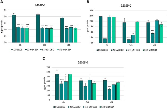 Levels of MMPs in cell culture medium under different CBD concentrations (20, 6.75, and 0.75 μM) and incubation times (6, 24, and 48 hours). Results are shown as mean ± SD (standard deviation) of three technical replicates for each of three independent sarcoid cell lines. *P < .05; **P < .01; ***P < .001 compared to control cells as determined by the ANOVA test.