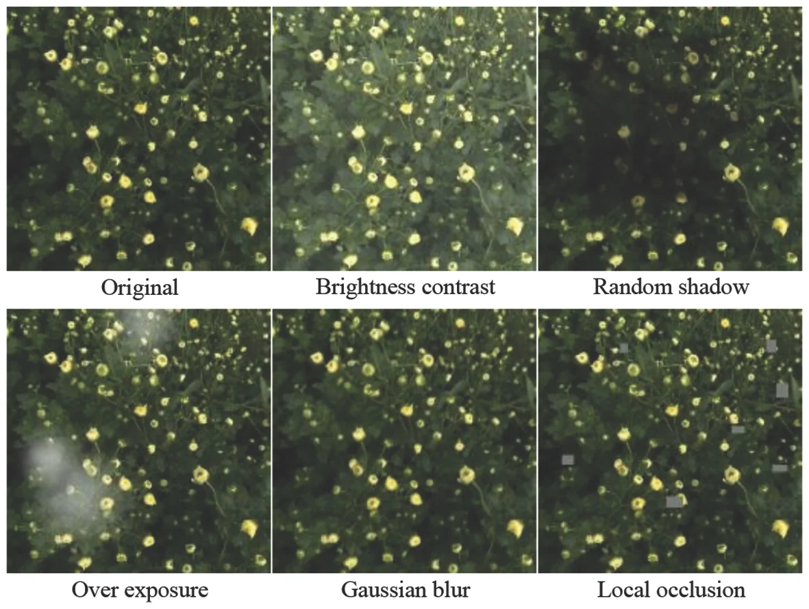 Six-panel comparison of a leafy plant with yellow flowers showing image distortions: original, brightness contrast adjustment, random shadows, overexposure, Gaussian blur, and local occlusion with gray patches, each labeled below.