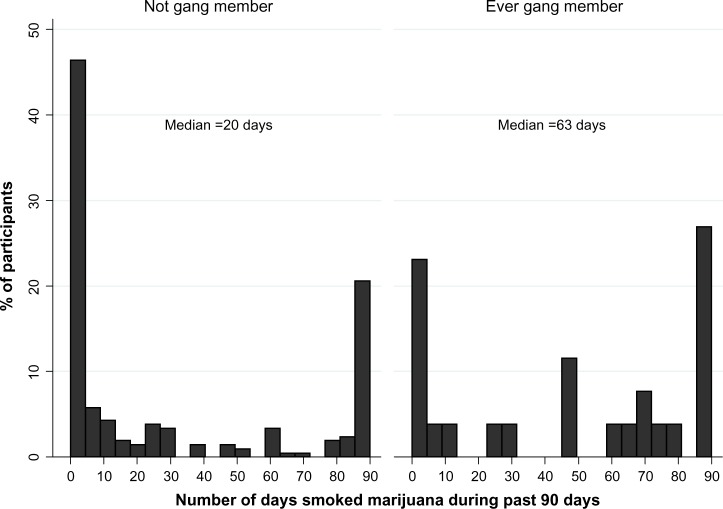 Distribution of the number of days smoked marijuana during past 90 days among participants who smoked at least 1 day, stratified by gang membership.Notes: Most participants smoked either on 1 day or daily. The median number of days was significantly higher among gang members. There was variability among gang members after a threshold of 45–50 days.
