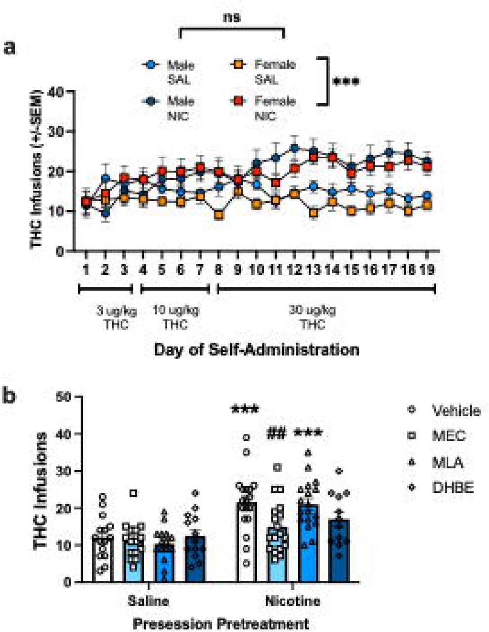 Effects of nAchR antagonists on the nicotine reinforcement enhancement effects for THC. a) Mean daily infusions earned in male and female rats with presession injection of NIC or SAL. Both male and females pre-treated with NIC earned more THC infusions during self-administration than the SAL pre-treatment group. b) THC infusions earned on discrete antagonist treatment test days with males and females combined. Nicotine’s reinforcement enhancing effect was significantly blocked by MEC and partially attenuated by DHβE. *** p<0.001 comparing NIC to SAL pre-treatment groups, ##p<0.01 comparing MEC to Vehicle pre-treatment.
