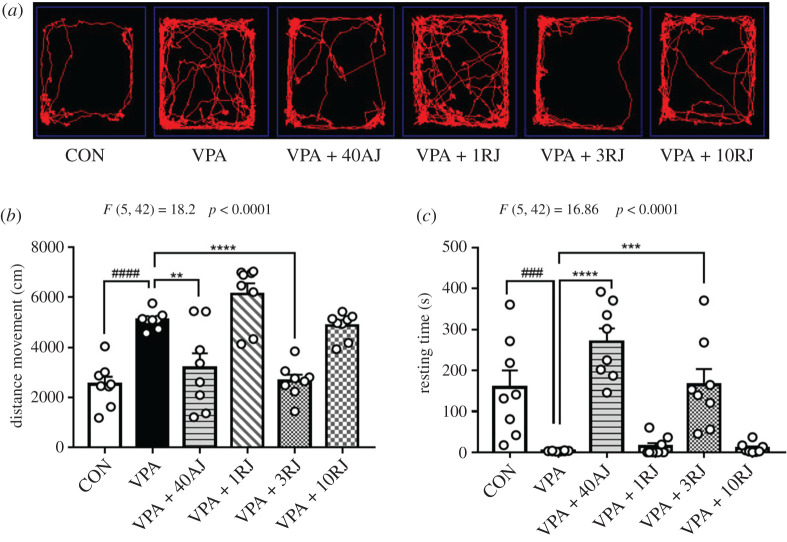 Effects of JZL184 treatment on locomotor activity of VPA-exposed offspring in open field test. (a) Representative images of locomotor tracks. (b) Distance movement. (c) Resting time. Data represented as means ± s.e.m. (n = 8 pups per group). Results were analysed by one-way ANOVA with Dunnett's post hoc test (###p < 0.001, ####p < 0.0001, versus CON group; **p < 0.01, ***p < 0.001, ****p < 0.001 versus VPA group). AJ, acute JZL184 treatment; RJ, repeated JZL184 treatment.