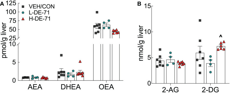 Hepatic levels of endocannabinoid (EC) and related fatty acid ethanolamides in DE-71 exposed male mice. Post mortem liver tissue was analyzed using UPLC/MS/MS. (A) AEA, DHEA and OEA. (B) 2-AG and 2-DG. ^indicates significantly different from L-DE-71 (^p < 0.05). Bars and error bars represent values expressed as mean ± s.e.m. n, 4-7/group. AEA, arachidonoylethanolamide (Anandamide); DHEA, docosahexanoyl ethanolamide; OEA, n-oleoyl ethanolamide; 2-AG, 2-arachidonoyl-sn-glycerol; 2-DG, monoacylglycerol 2-docosahexaenoyl-sn-glycerol.