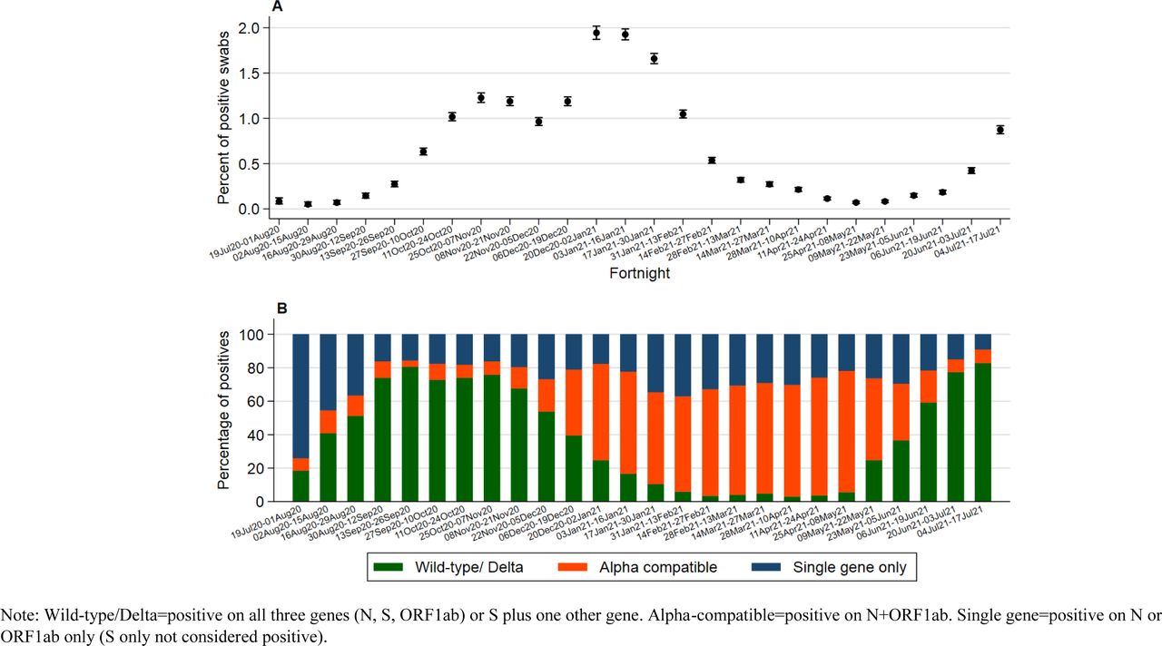 Unadjusted percentage (95% CI) of positive swabs per fortnight (A), and positive swabs split by gene positivity pattern (B)