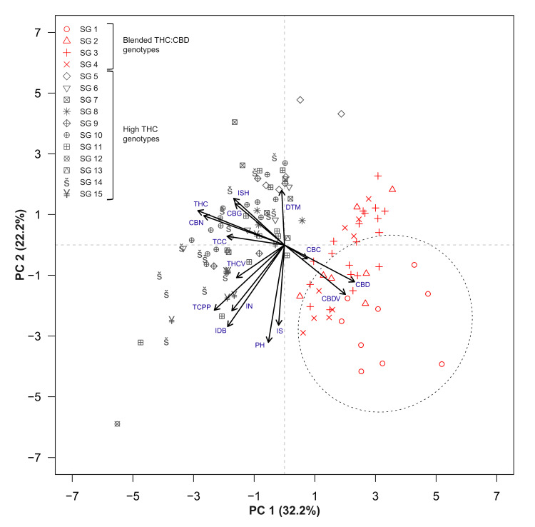 Principal component analysis (PCA) for the association between cannabinoid content, plants phenology, inflorescences morphology and key physiological attributes across 119 drug-type cannabis genotypes. Red symbols and black symbols indicate blended THC:CBD and high-THC genotypes, respectively. Symbol shapes specify the genotypic vernacular classification into strain groups (SG, such as “Northern Lights”, “Purple Kush” and “Sour Diesel”). The ellipse marked over the biplot’s 1st and 4th quadrants represents a 95% confidence level for genotypes classified to SG1 (red circle symbols), a group comprising accessions obtained from crossing a blended CBD:THC drug-type plant and an off-type hemp plant. Abbreviations: total cannabinoids per plant (TCPP).