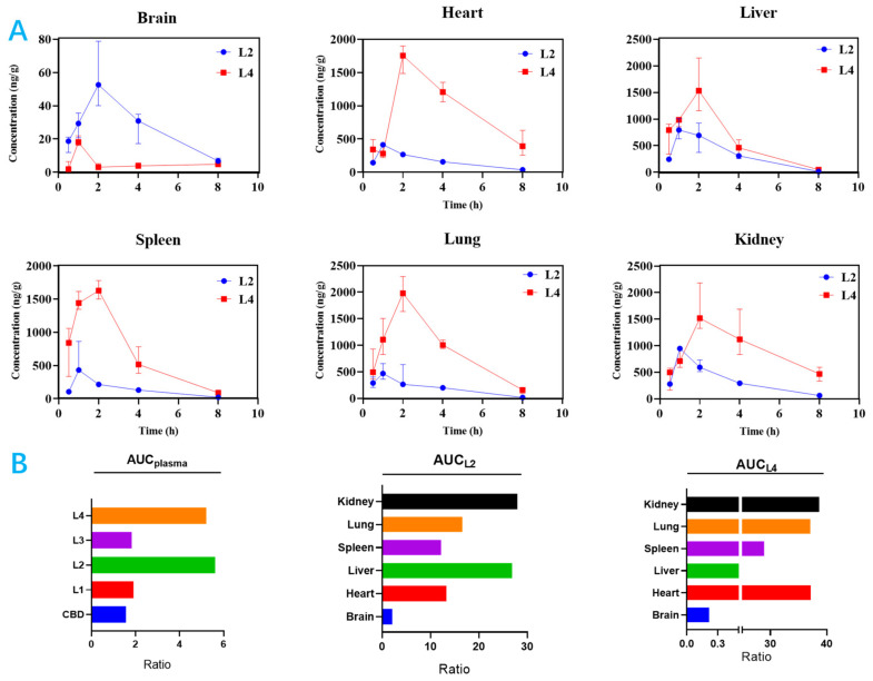 Structural modification alters drug exposure and selectivity in tissues despite similar exposure in plasma. (A) Concentration–time curve of L2 vs. L4 in tissues. (B) AUC ratio of L2 vs. L4.