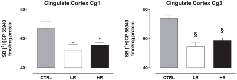 CB1 receptor density in the cingulate cortex Cg1 and Cg3. Data are expressed as mean fmol/mg protein of [3H]CP55940 ± SEM (n = 6 per group). Both LR and HR groups showed a decrease in the Cg1 and Cg3 compared to CTRL group (one-way ANOVA: *P < 0.05 and §P < 0.001, Newman–Keuls test vs. CTRL group).